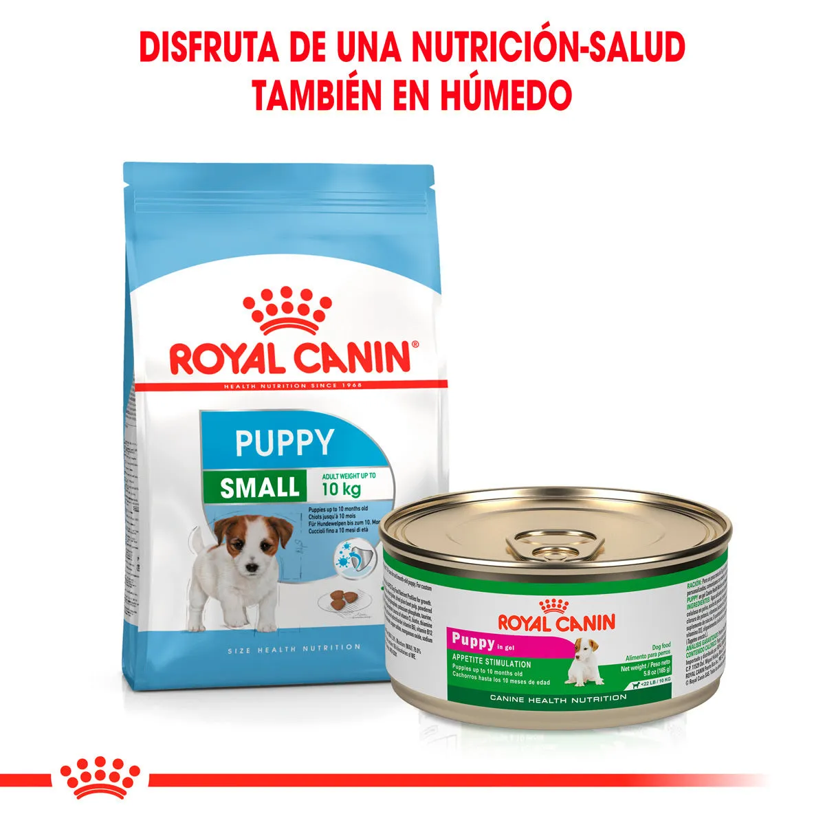 Alimento Royal Canin Small Starter Mother and Babydog 1.14 Kg.