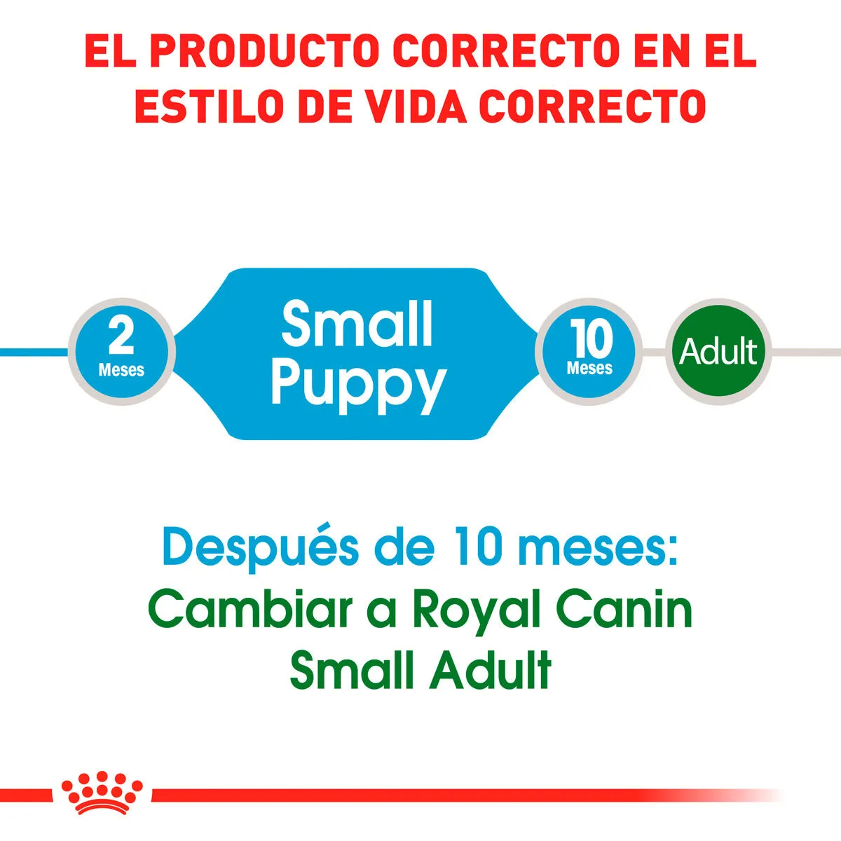 Alimento Royal Canin Small Starter Mother and Babydog 1.14 Kg.