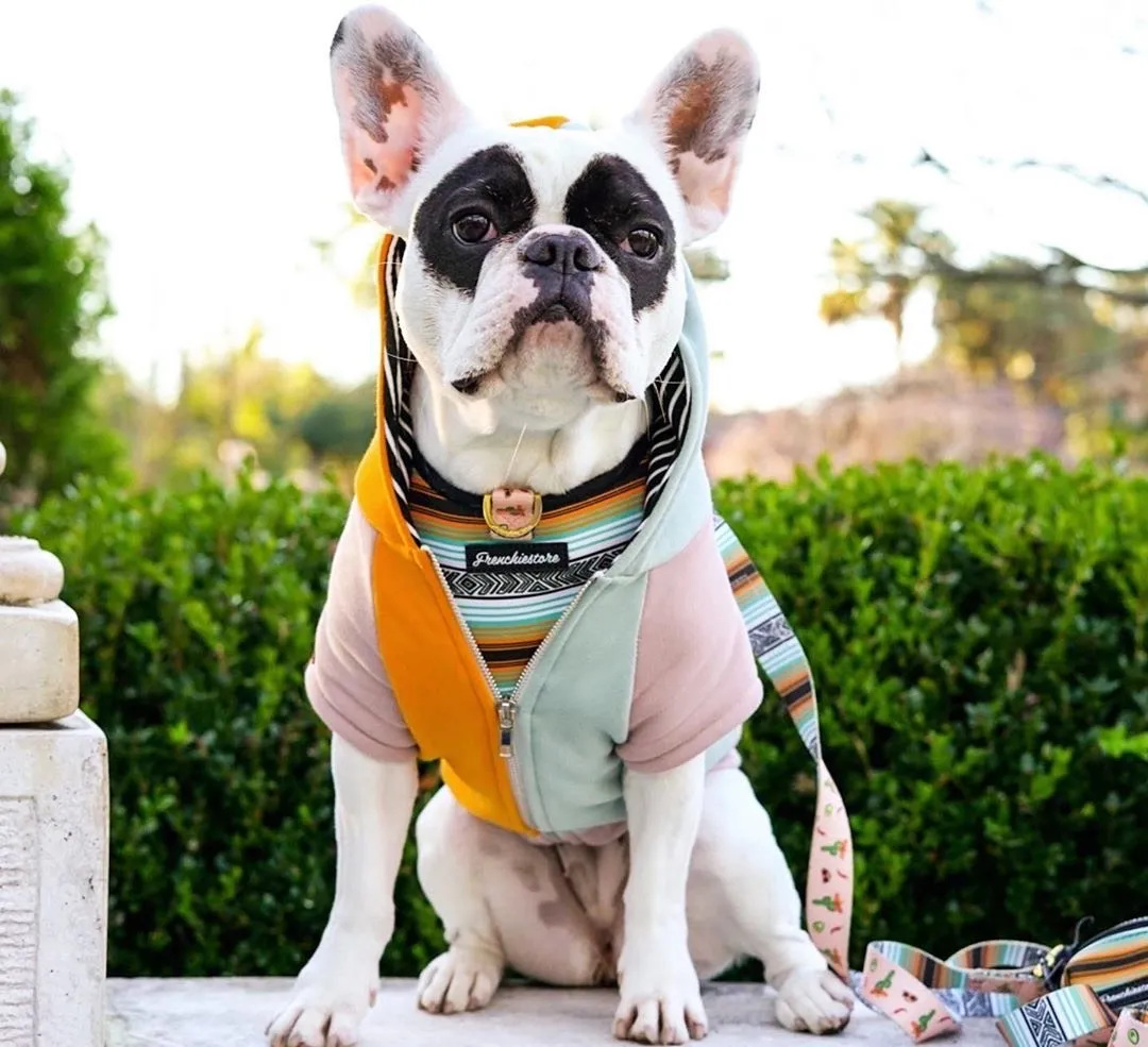 Frenchiestore Luxury Leash | Livin' La Vida Frenchie