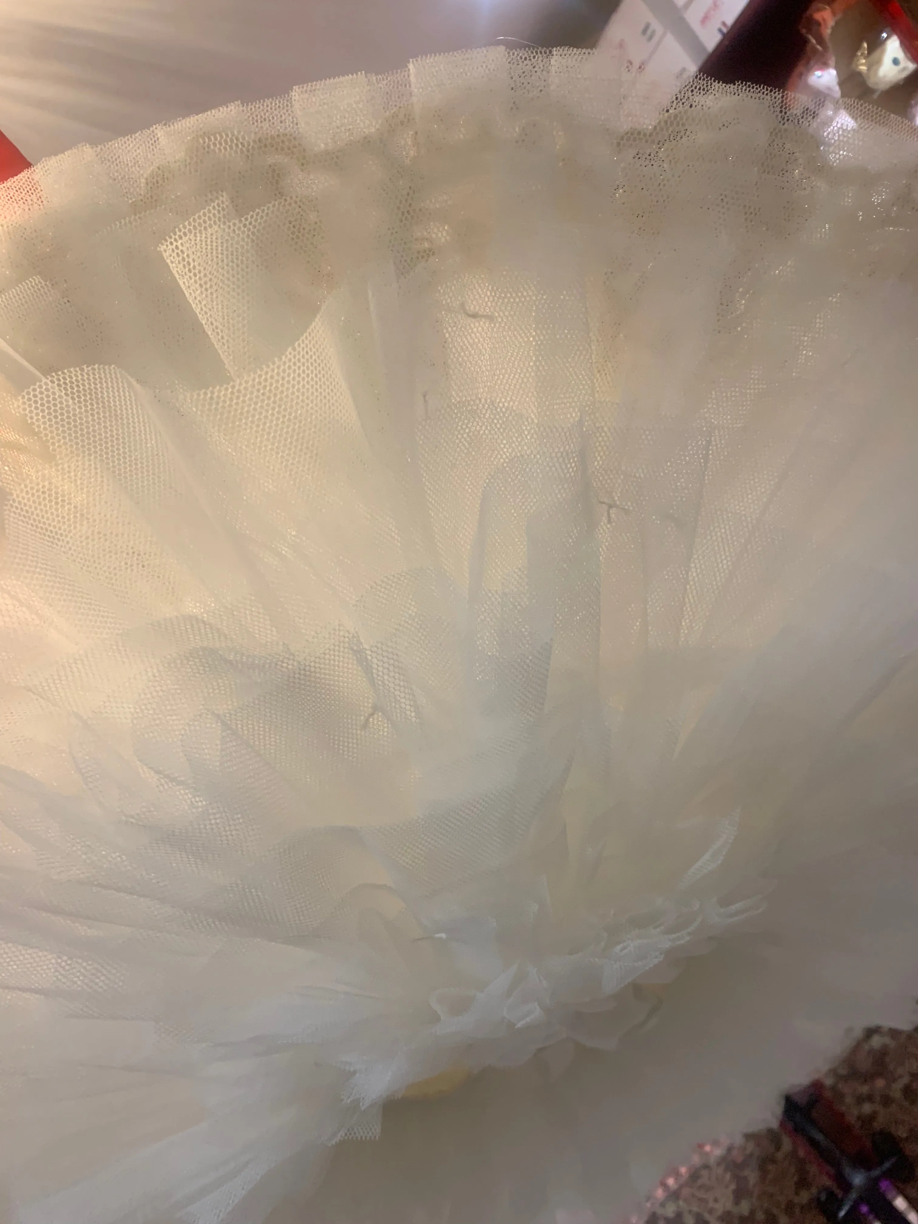 Ivory and gold pancake tutu 10-11yrs Hire only