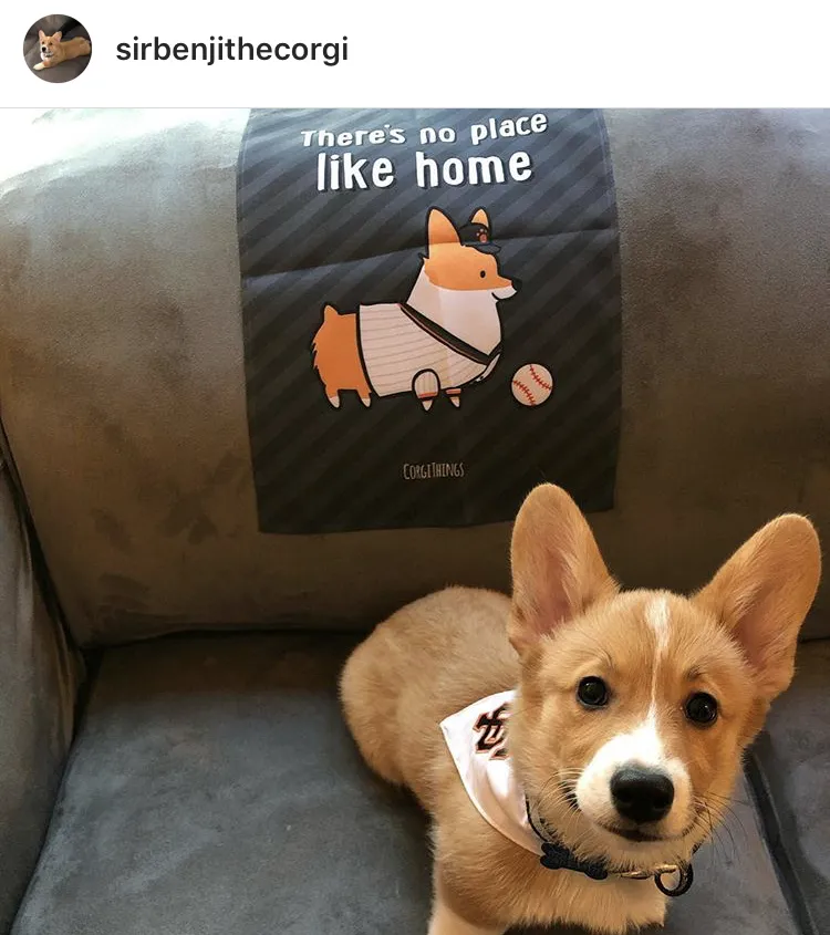 "No Place Like Home" Baseball Corgi Garden Flag | Gray and Orange